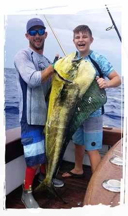 Big "Slammer" Dolphin (Mahi) caught in the summer months in the Florida Keys.